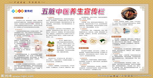 五臟中醫(yī)養(yǎng)生 調(diào)和陰陽，身心和諧
